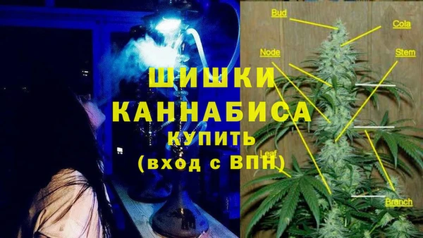 шишки Вязники